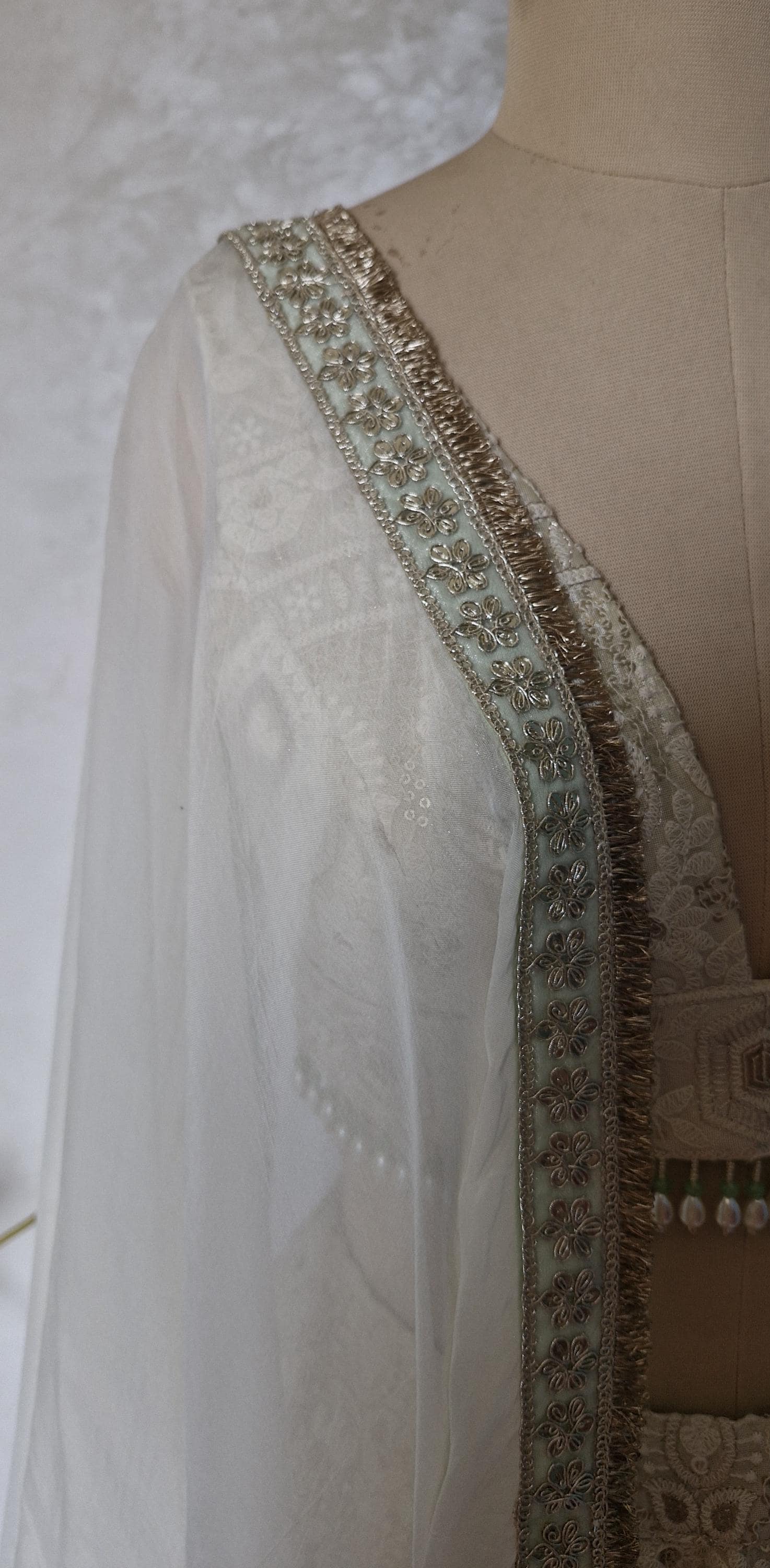 Embroidered Champagne Chikankari Tissue Silk Lehenga Choli DVMTD_0296